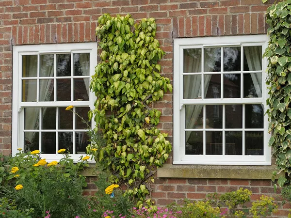 Sliding sash windows with Georgian bars