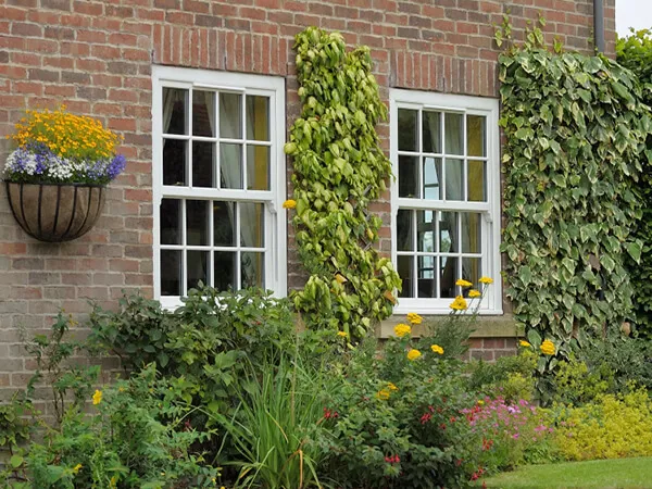 Traditional Sash Windows