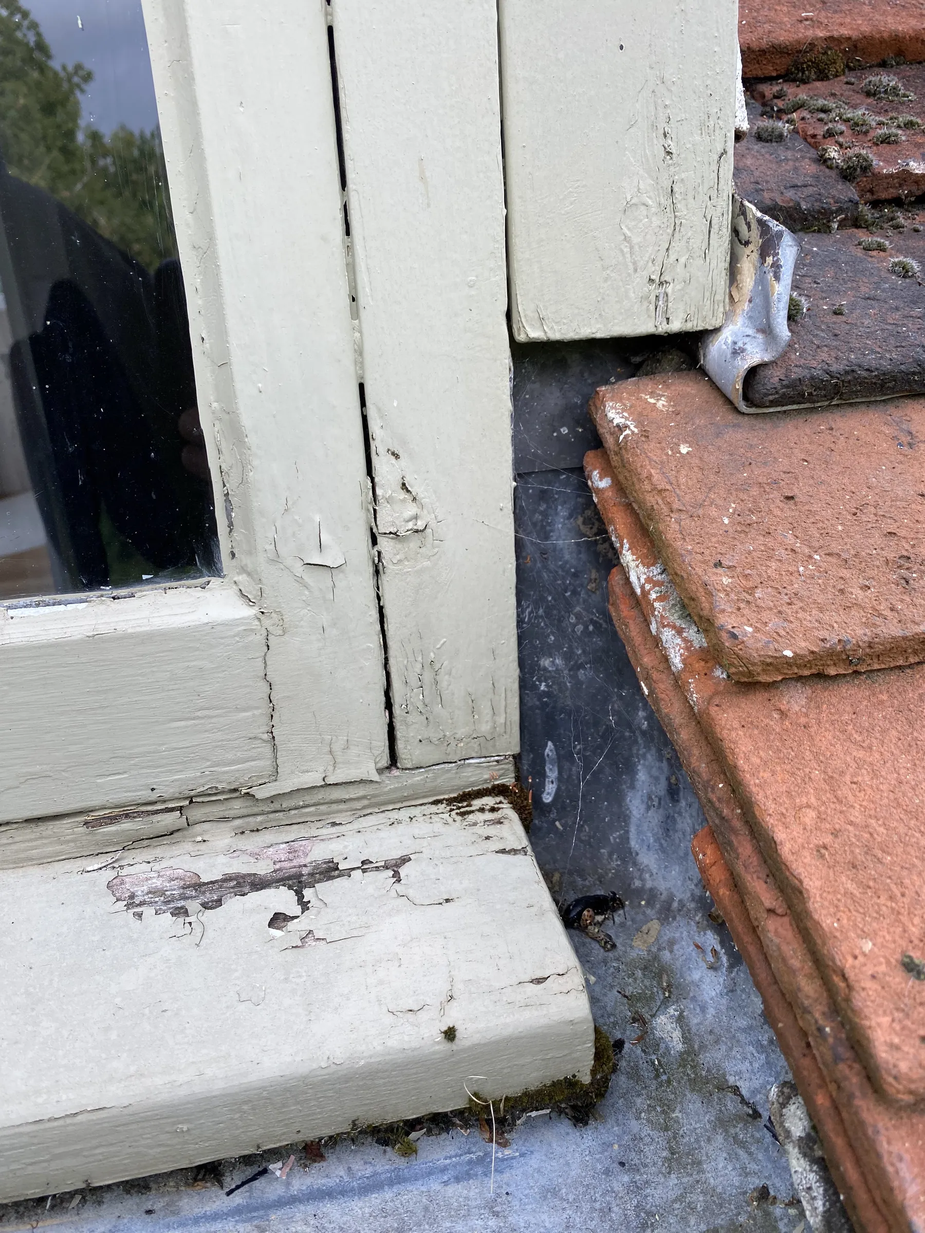 Before: peeling sage-green timber window frame and sill at Old Rectory Cottage, Langham IP31