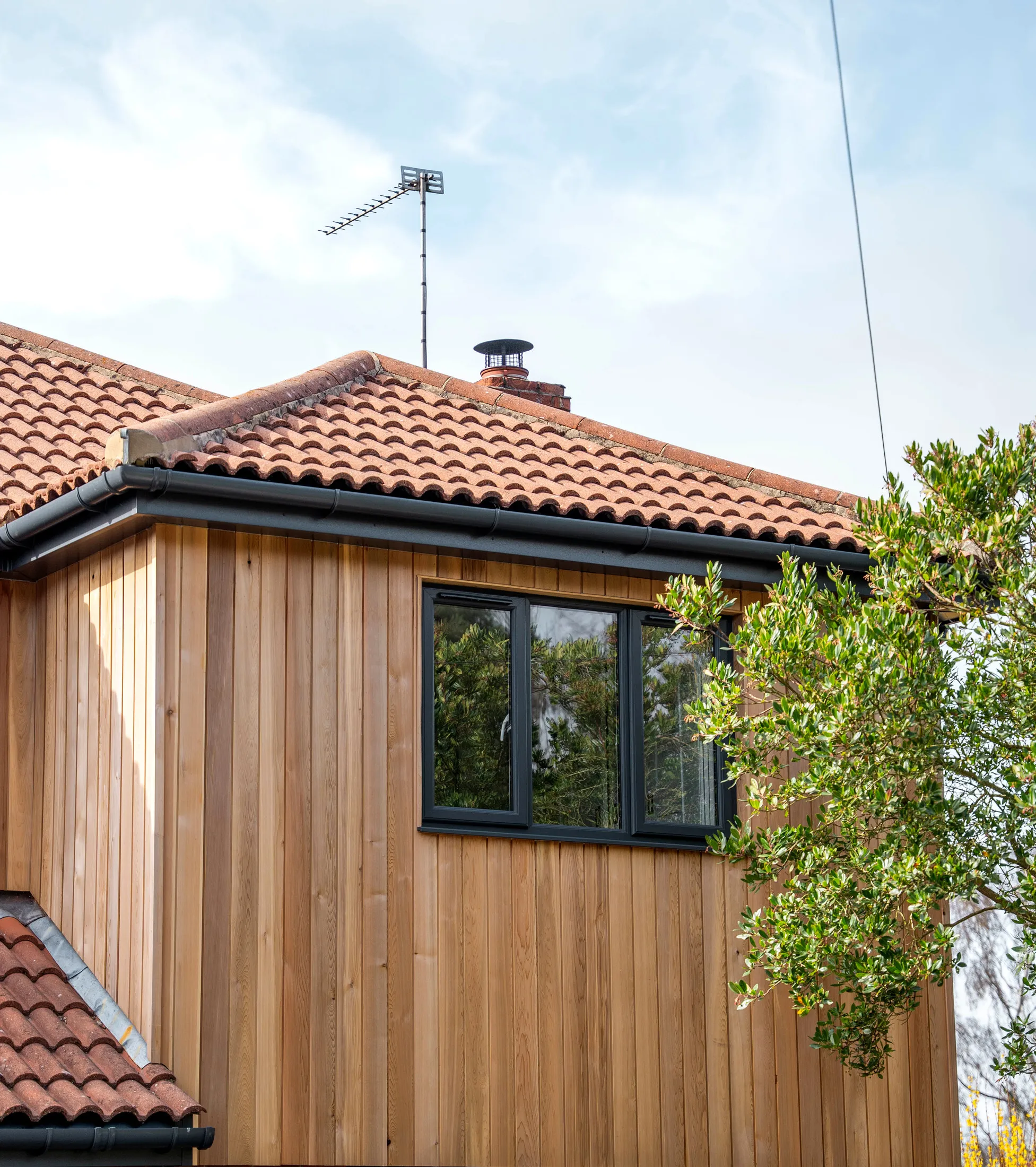 Close-up of vertical red cedar cladding and anthracite window, St Olaves NR31